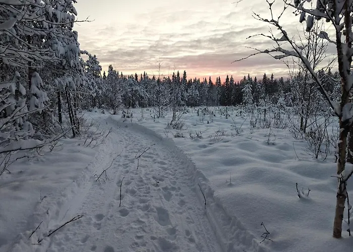 Atmospheric With Jacuzzi 度假居 罗瓦涅米